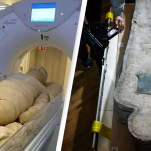 Ancient disease discovered in ancient DNA of Egyptian mummy