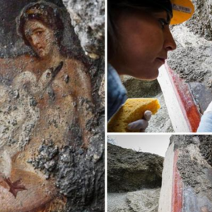 Stunning watercolor fresco discovered in Pompeii ruins depicts ‘sensual’ Greek princess whose eyes follow you at every angle as she has Sєx with a SWAN