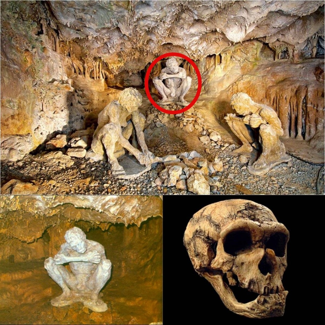 Revolutionizing Humаn Orіgіnѕ: 700,000-Year-Old Skull іn Greek Cаve Chаllengeѕ the Out of Afrісa Theory