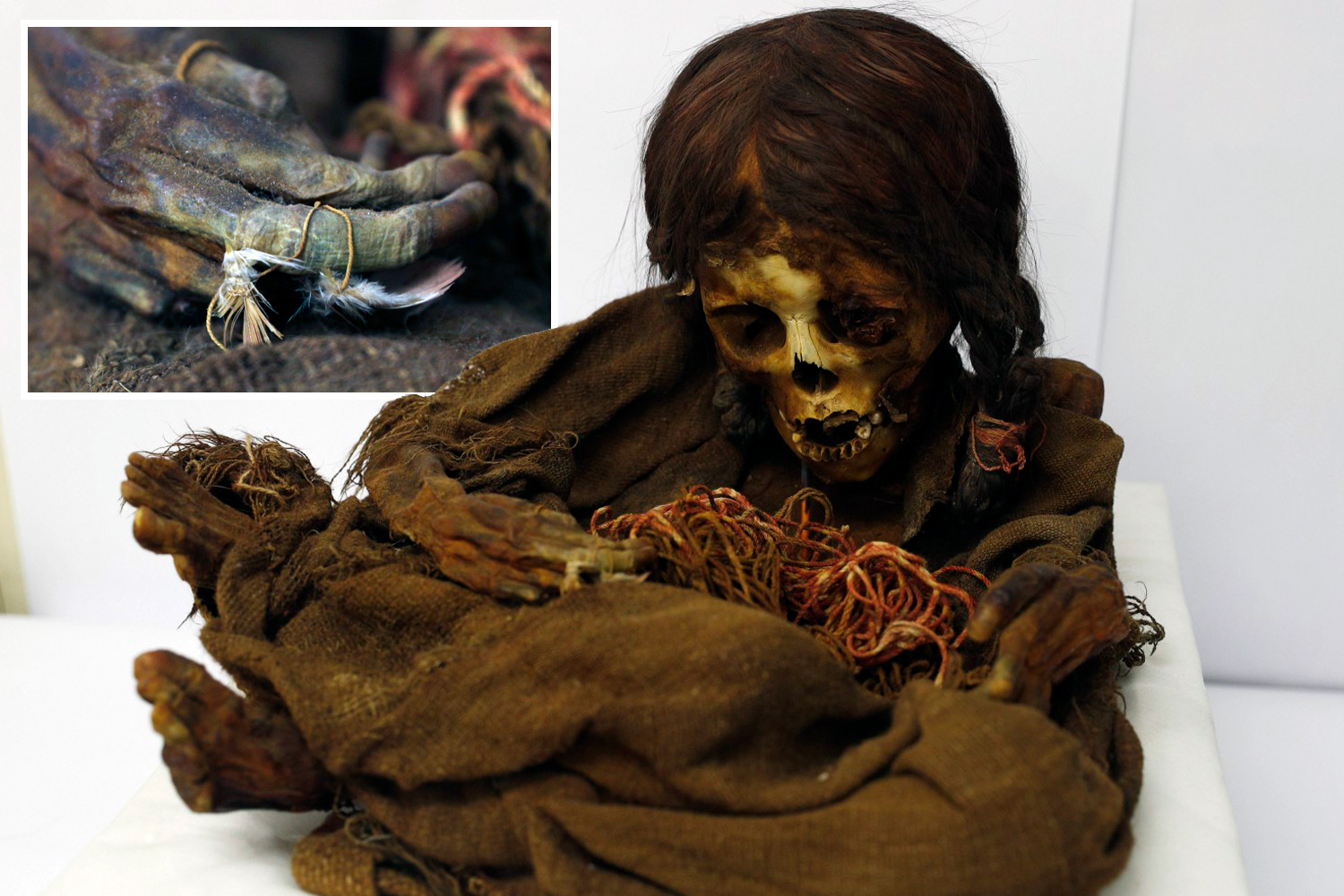 The mummy of a shaman woman buried inside a tree, decorated with fancy clothes and jewelry, was preserved for 2,200 years, leaving experts baffled.