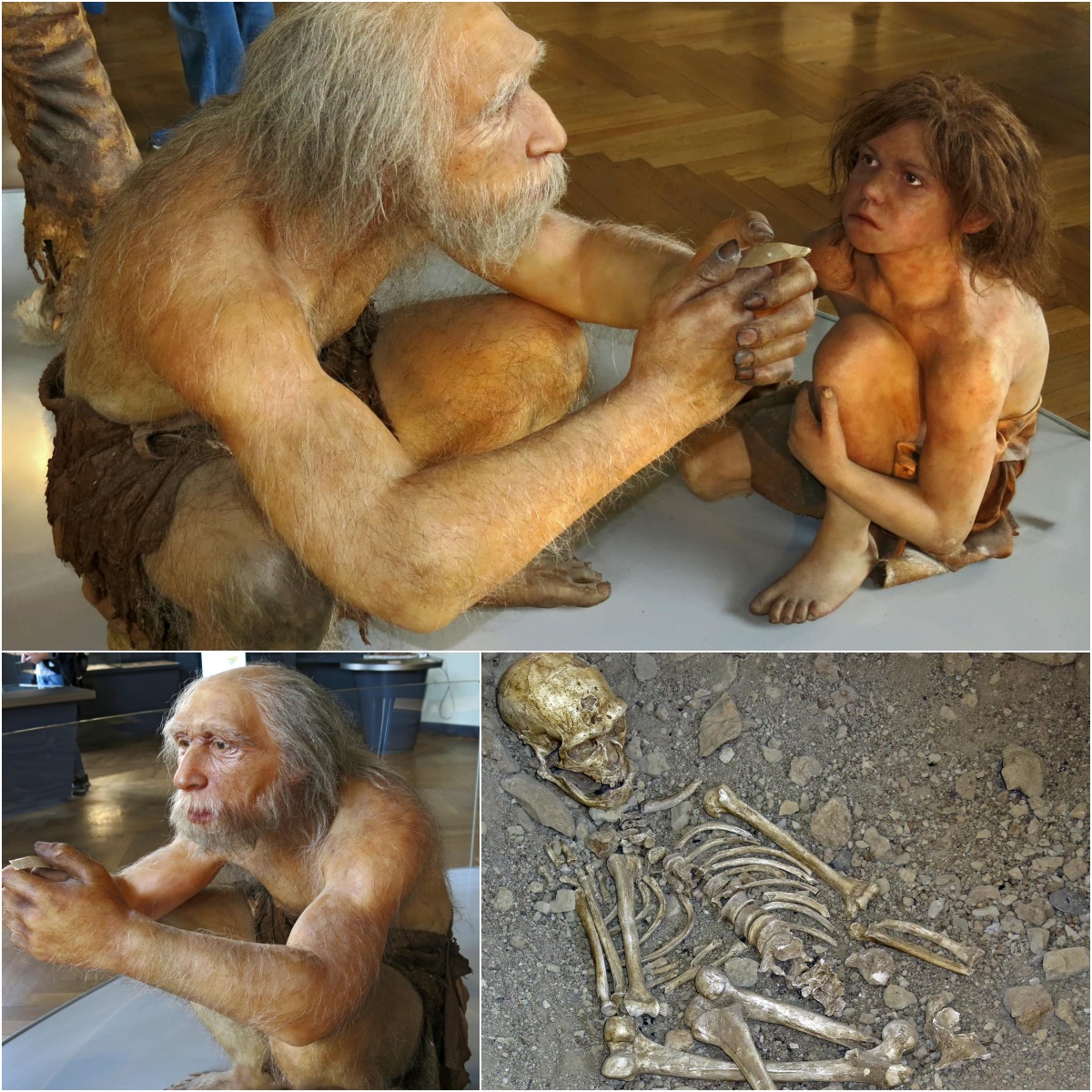 The Old Neanderthal of Chapel of the Saints , who was at least 40 years old.