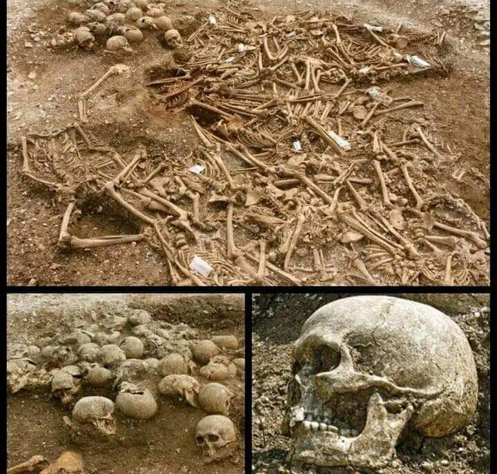 The Ridgeway Hill Viking Burial Pit: A Grim Testament to Medieval Conflict