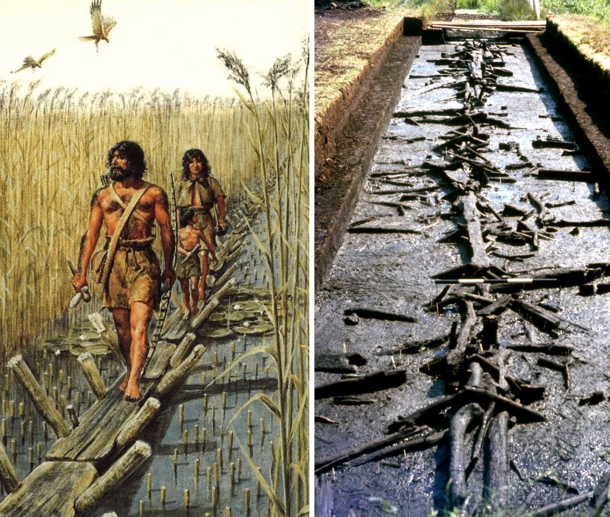 The Sweet Track: Unveiling A 5830-Year-Old Neolithic Engineering Marvel