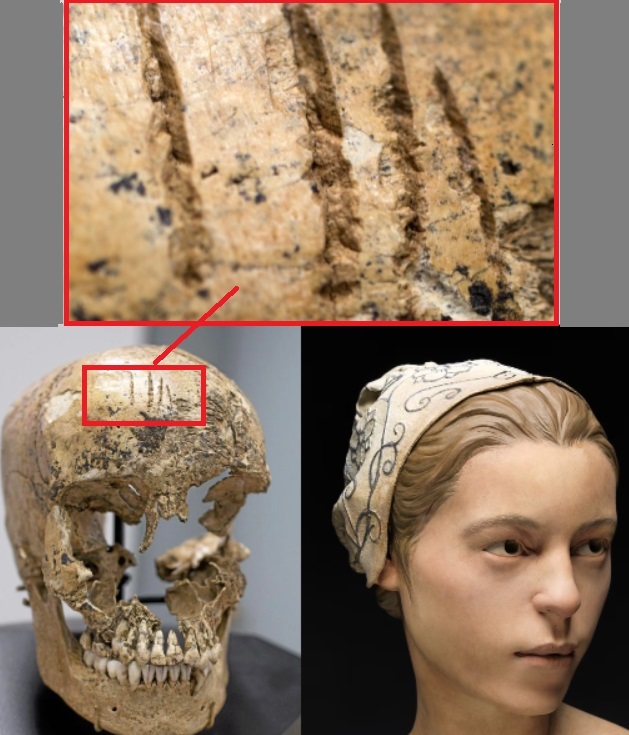 The Skull Of A 14 Year-Old Girl Believed To Be A Victim Of Cannibalism At The Jamestown Colony In The Winter Of 1609