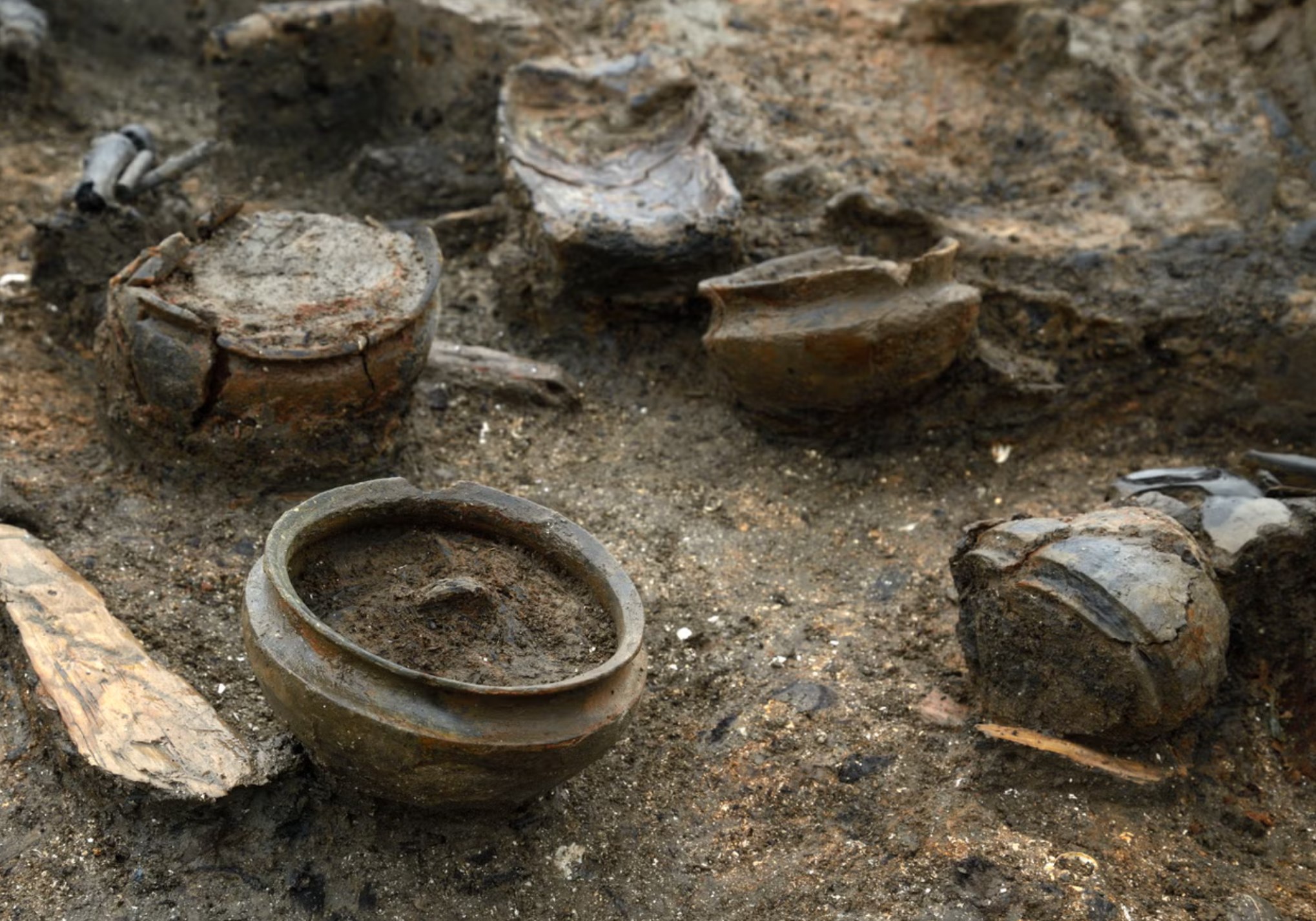 Settlement Dubbed ‘England’s Pompeii’ Gives Insight into Prehistoric Life