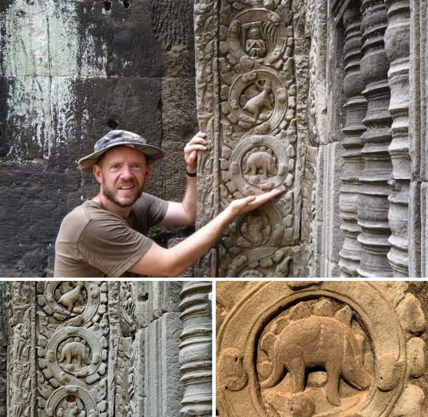 Unveiling Mysteries: The Enigmatic Stegosaurus Carving at Ta Prohm