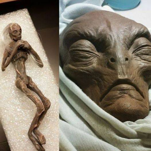 Shocking Find: Alien Corpse Preserved Deep Inside Egyptian Pyramid