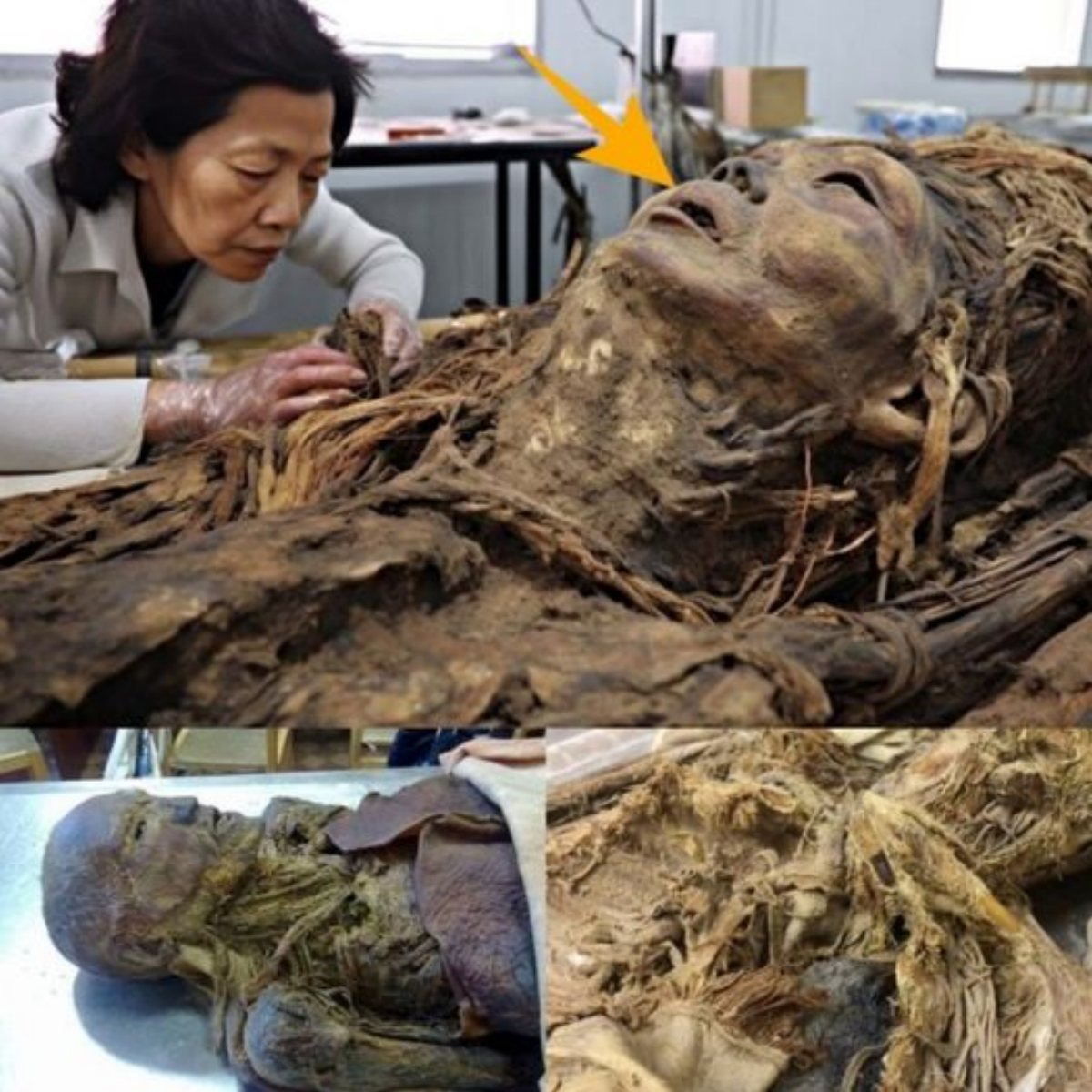 H๏τ: Discovering a frozen mummy preserved in ice