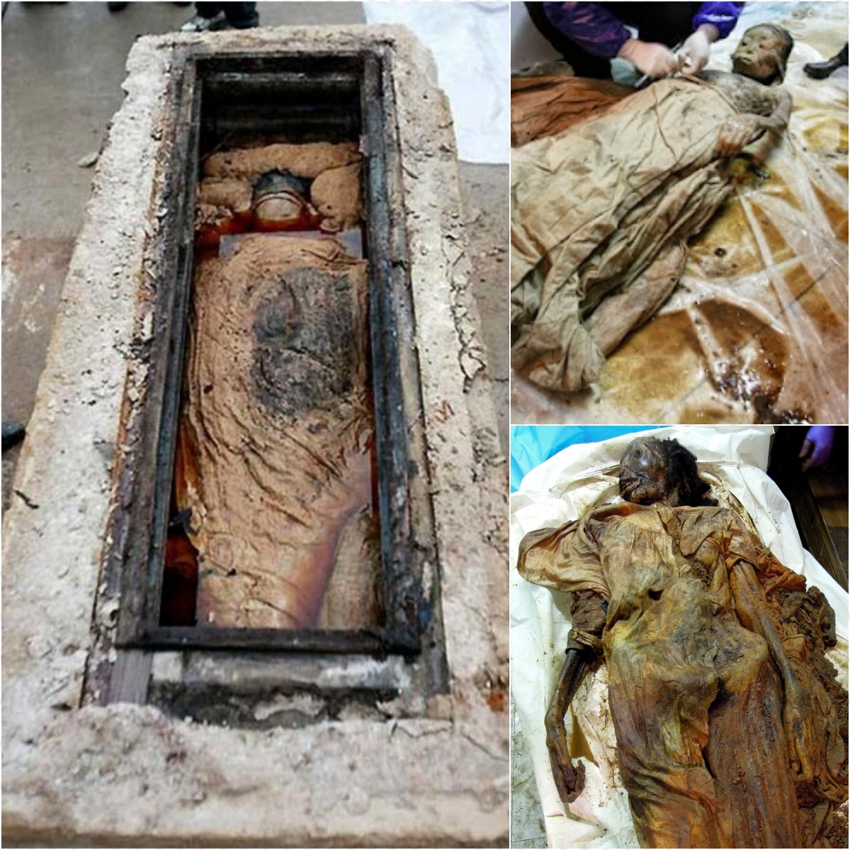 Stunning Discovery: 700-Year-Old Mummy Perfectly Preserved in Brown Liquid