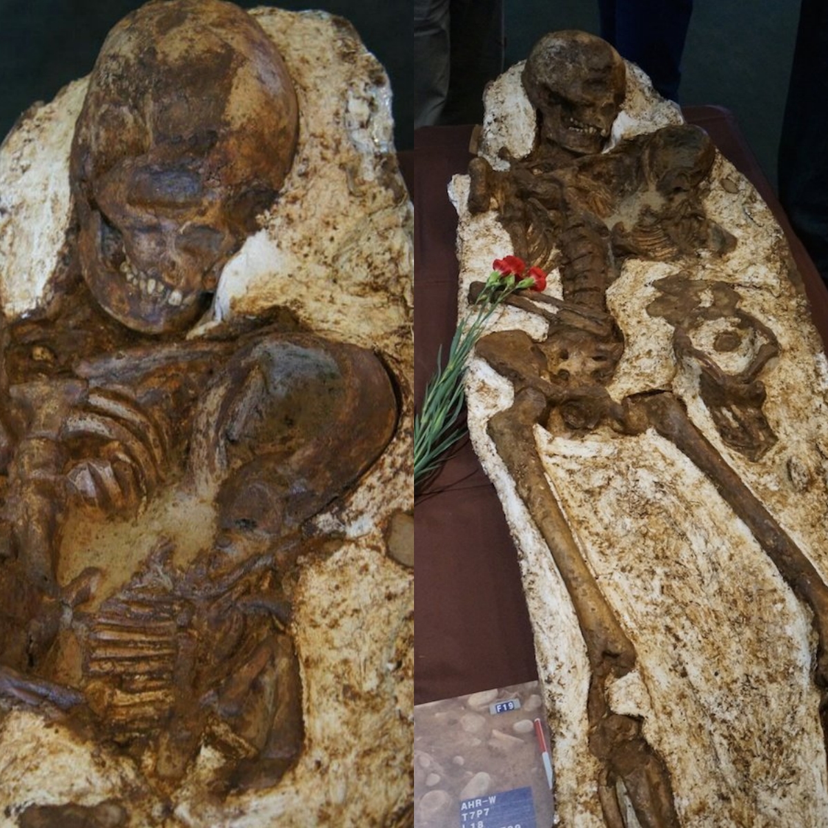 Mother Found Stіll Crаdling Bаby After 4,800 Yeаrs