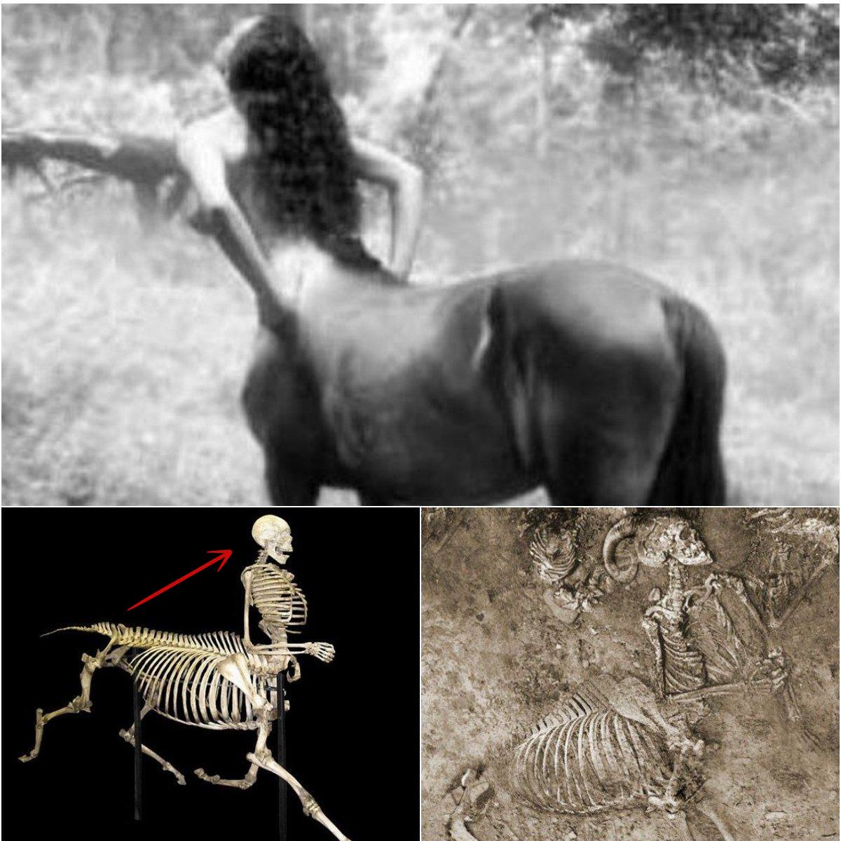 Ancient Find: Centaur Skeleton Unearthed from 1980