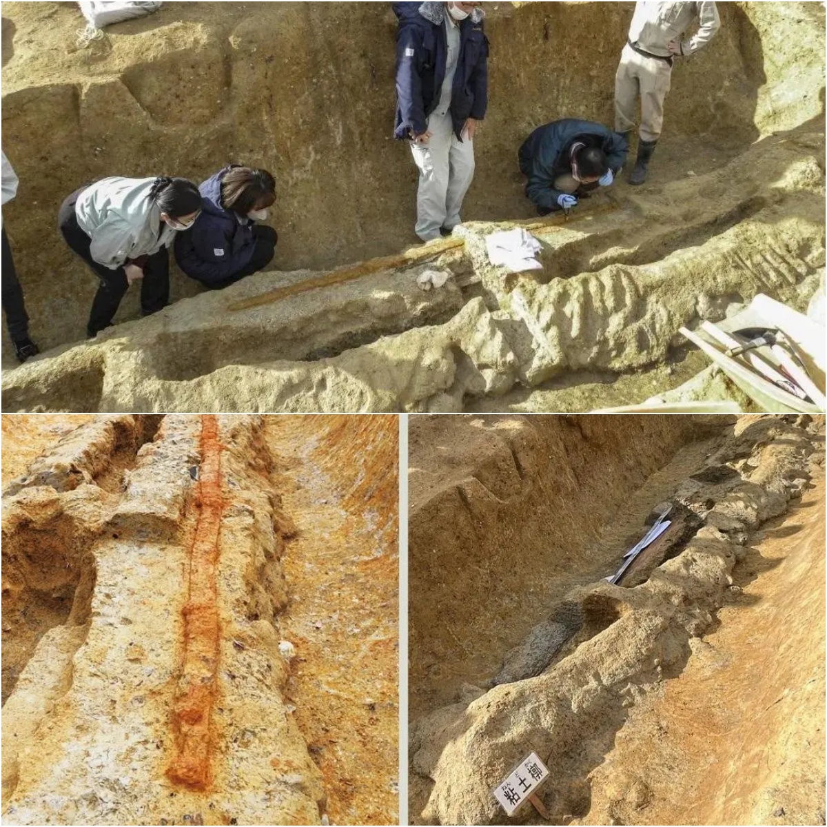 Mᴀssive 2.3-Meter Dakoken Sword Unearthed in Japan: A Remarkable Archaeological Discovery