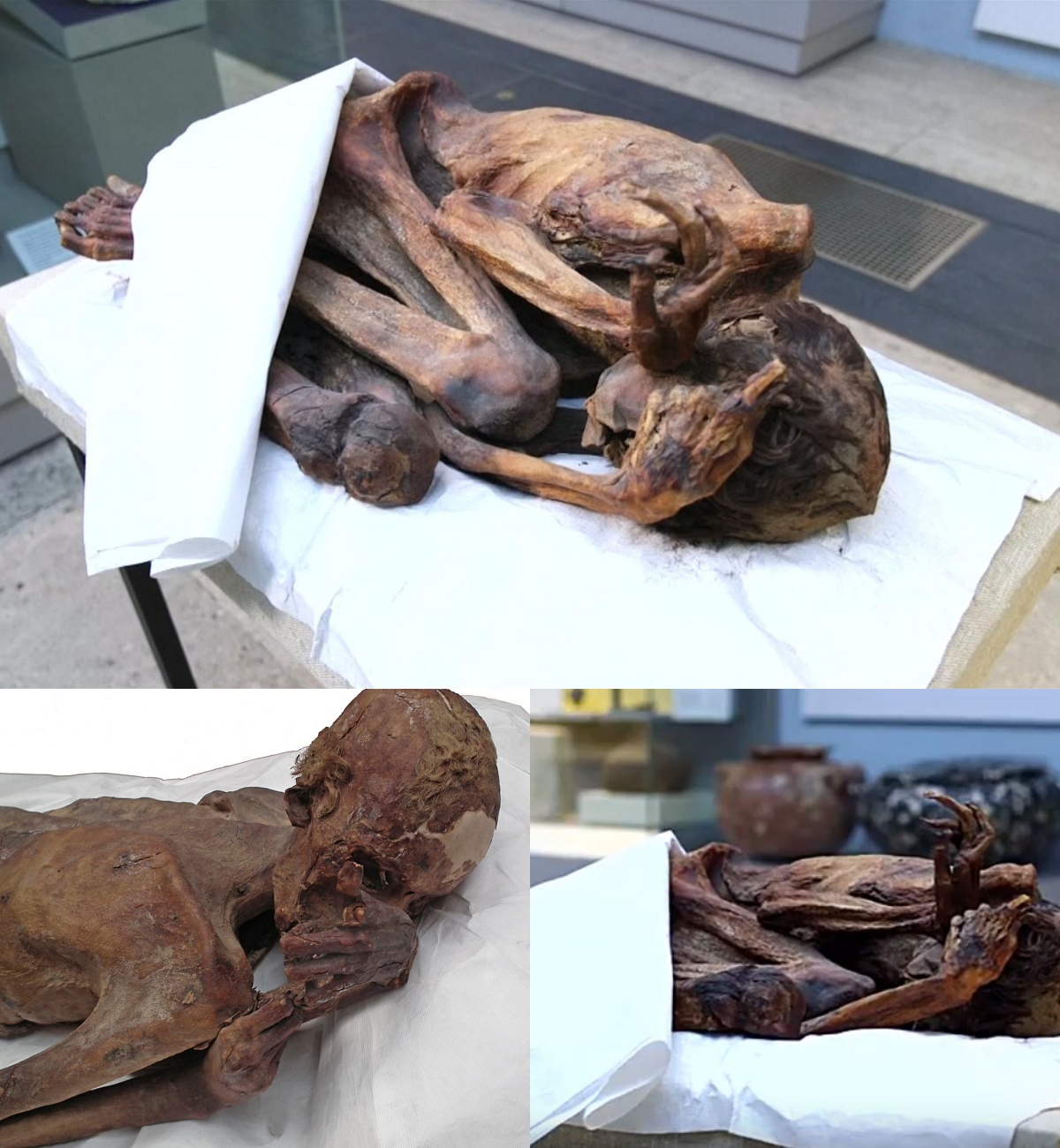 Ancient Ink: Oldest Known Tattoos Discovered on Egyptian Mummies