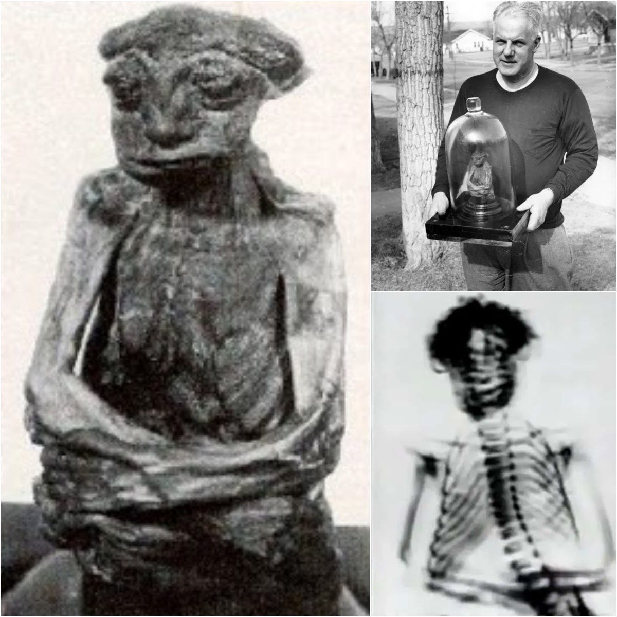 Tiny Terrors or Legendary Beings? The Baffling Saga of the San Pedro Mummy