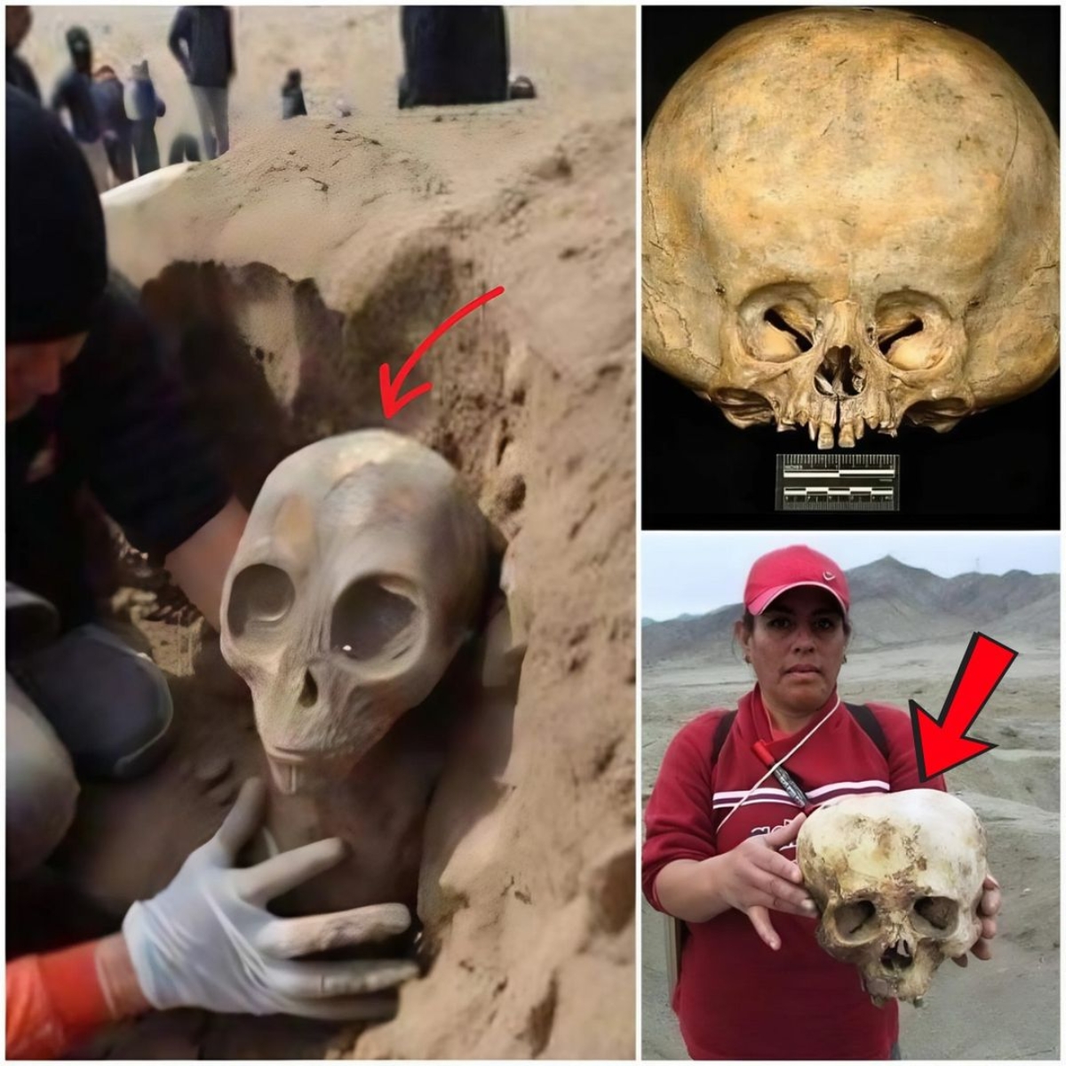 Exploring alien remains and uncovering ancient secrets!