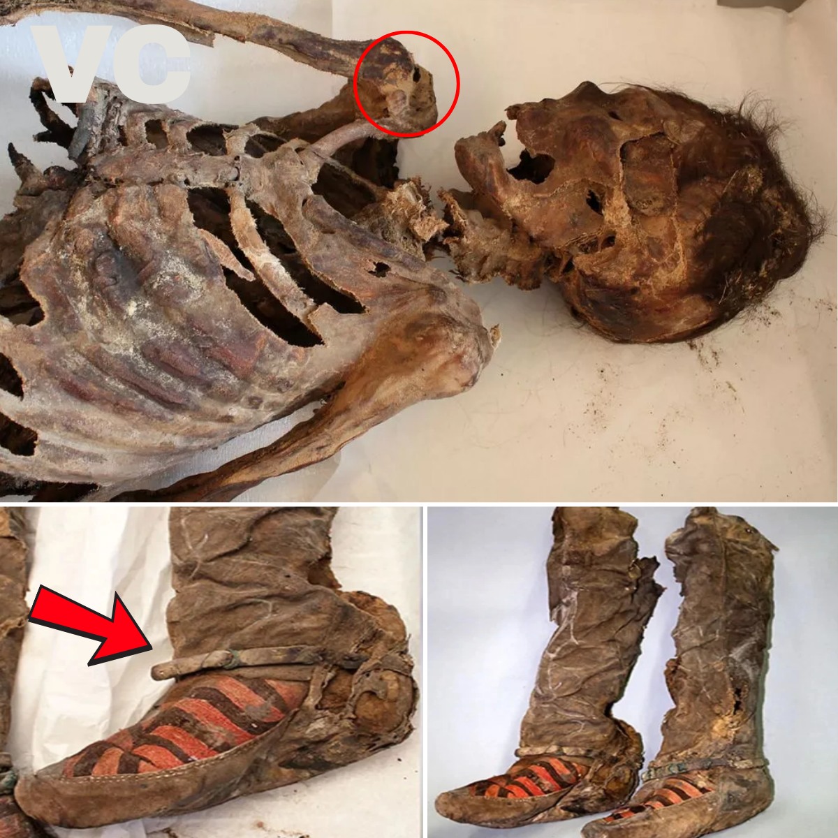 Ancient Mummy Found in ‘Adidas’ Boots: A Millennia-Old Mystery Uncovered