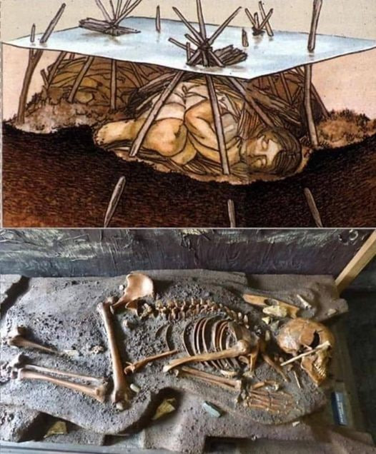 The Windover Bog Bodies: A Remarkable Archaeological Discovery