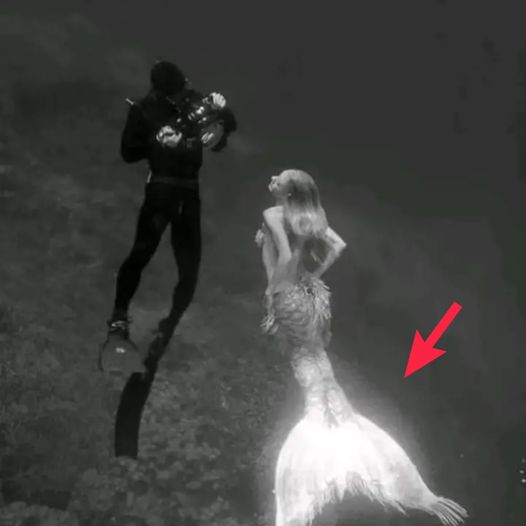 Revealing the Chilling Truth: How Real-Life Mermaids Differ from the PH๏τos