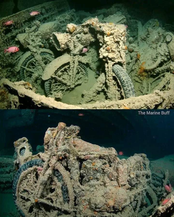 Discover the SS Thistlegorm: A Sunken Treasure for Divers