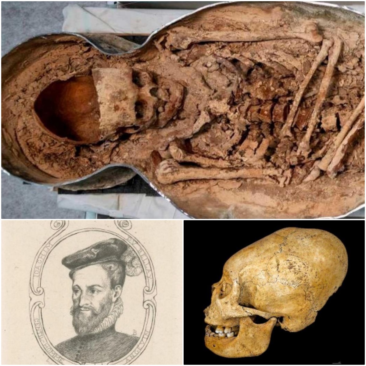 Identіty of Notre Dаme Noblemаn wіth Elongаted Skull Reveаled