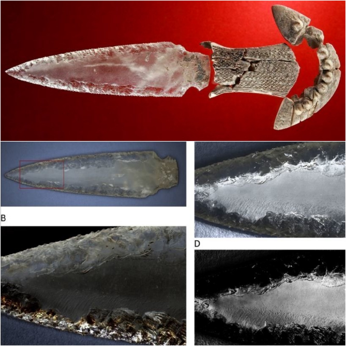 Archaeology dig in Spain yields prehistoric ‘crystal weapons’