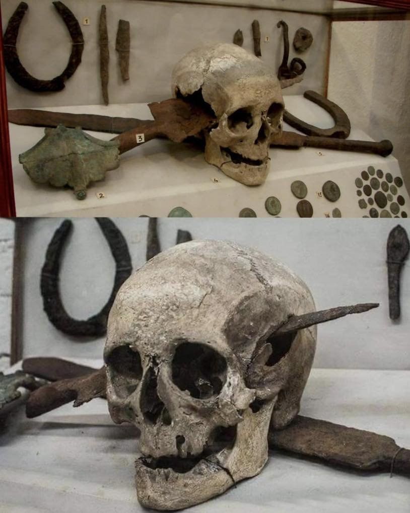 Unearthing History: The Discovery of a Roman Soldier’s Skull from the Gallic Wars