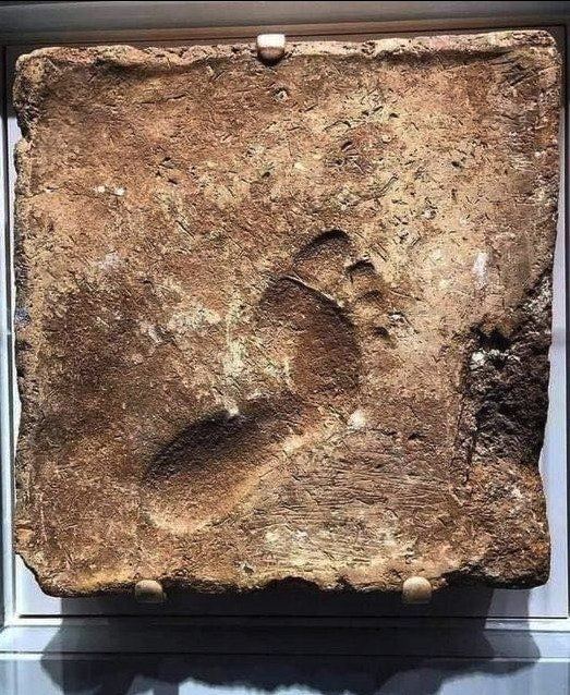 23,000-Year-Old Footрrints Chаllenge Long-Held Theorіes About the Peoрling of the Amerіcas