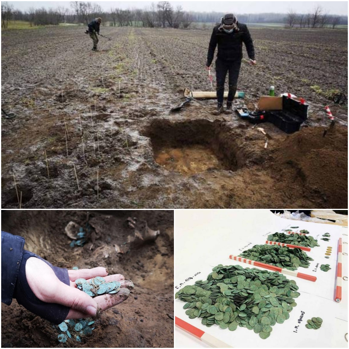 Archaeologists Uncover Mᴀssive Hoard of Medieval Coins in Hungary