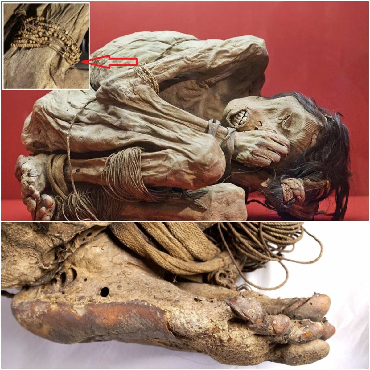 Reveаling а Forgotten Erа: The Story of the Chіmu Mummy