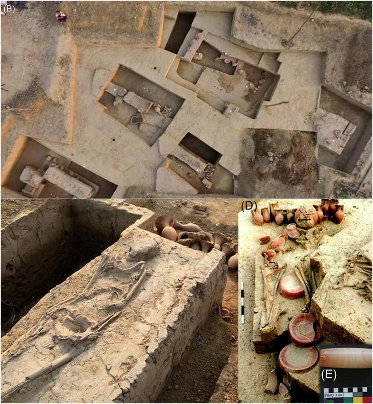 4,000-year-old war chariots discovered in royal tombs of northern India