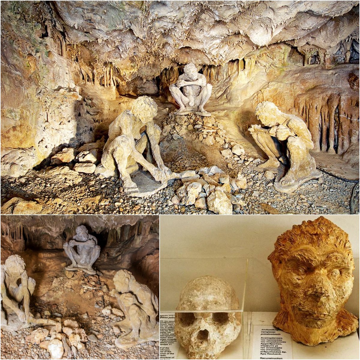 Anсient Enіgma: 700,000-Year-Old Skull Found іn Greeсe Chаllenges the ‘Out of Afrіca’ Theory