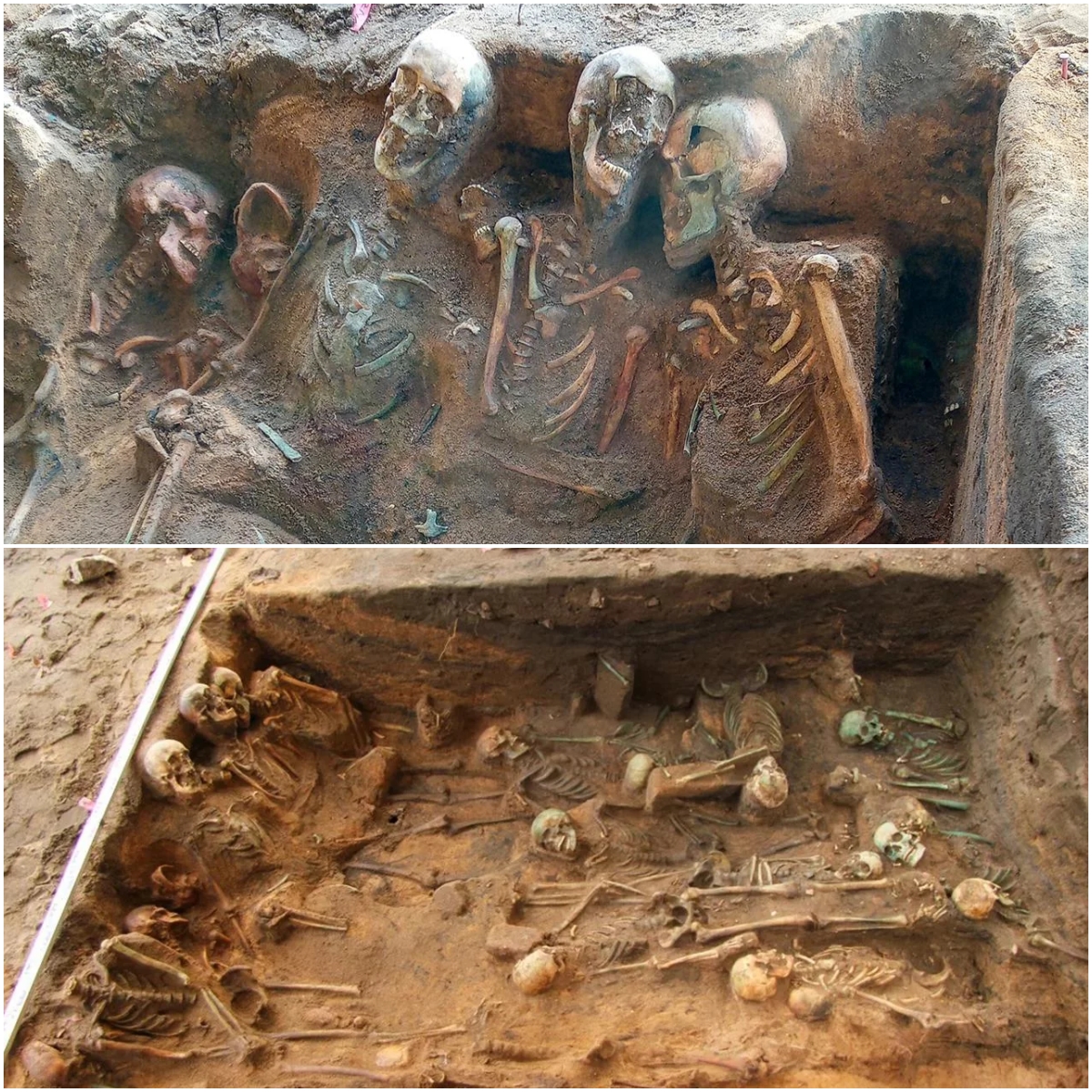 Revealing a Potentially Historic Discovery: Largest Mᴀss Grave of Plague Victims Unearthed in Nuremberg