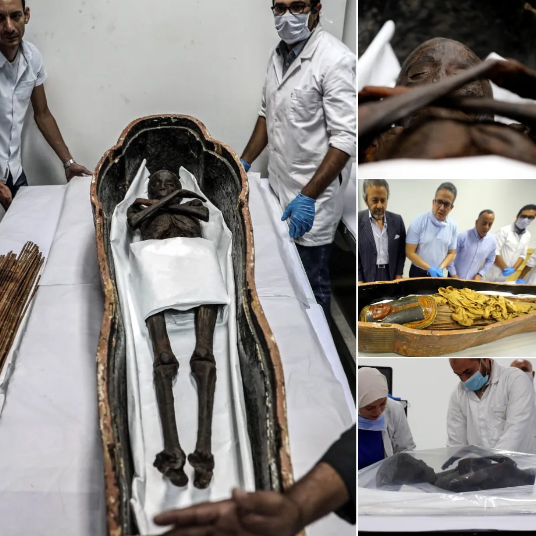 Ancient Egyptian mummies removed from coffins spark ‘Curse of the Pharaohs’ fears.