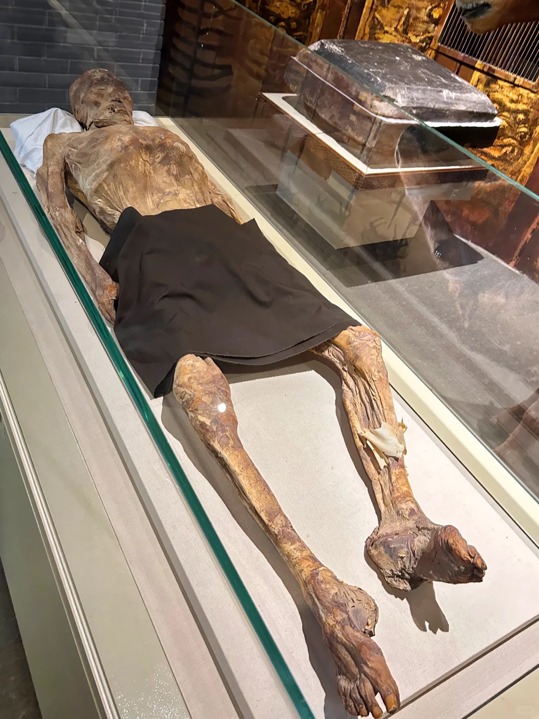 The Fascinating Differences Between Xinjiang Dried Corpses and Ancient Egyptian Mummies