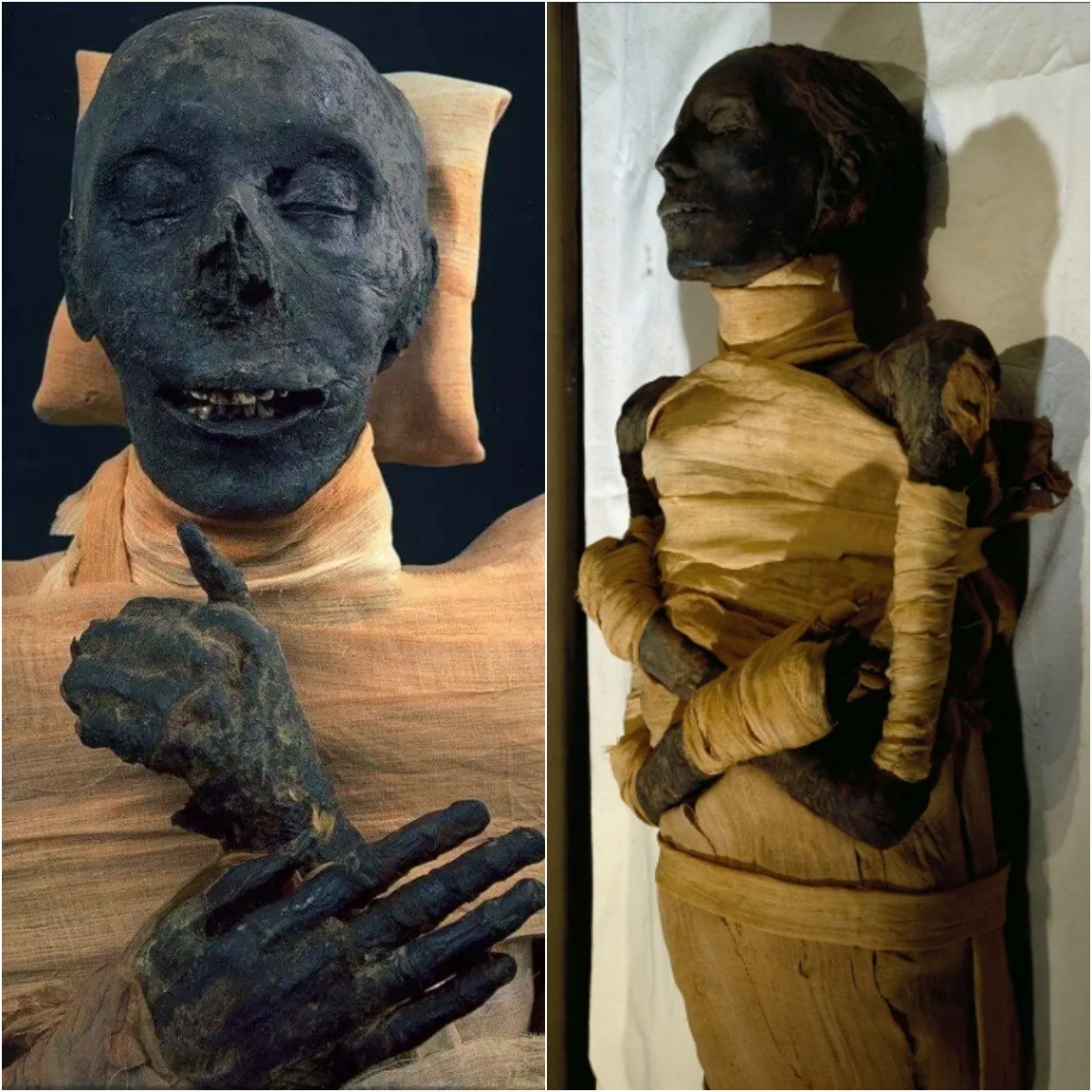 The Mummy of Thutmoѕe III: Reіgnіng іn the New Kіngdom, 18th Dynаsty, 1479-1425 BCE