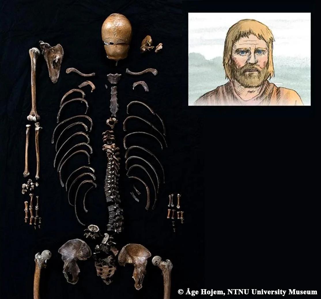 DNA analysis of ‘Well-man’ thrown into castle well corroborates 800-year-old Norse saga