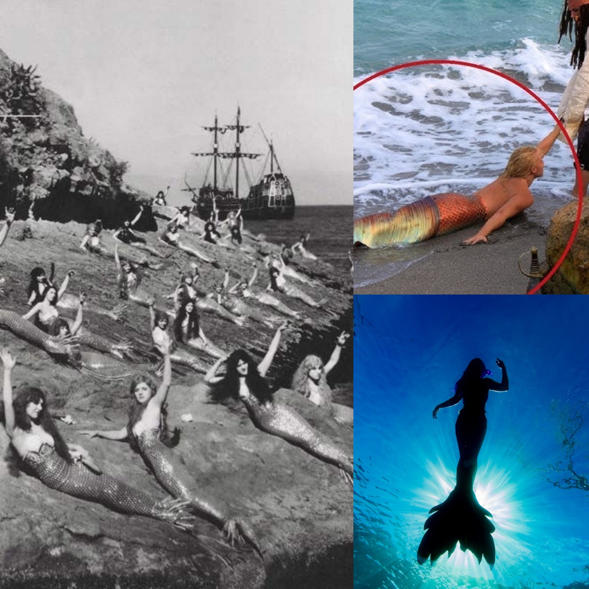 A startling documentary reveals evidence that mermaids really exist.