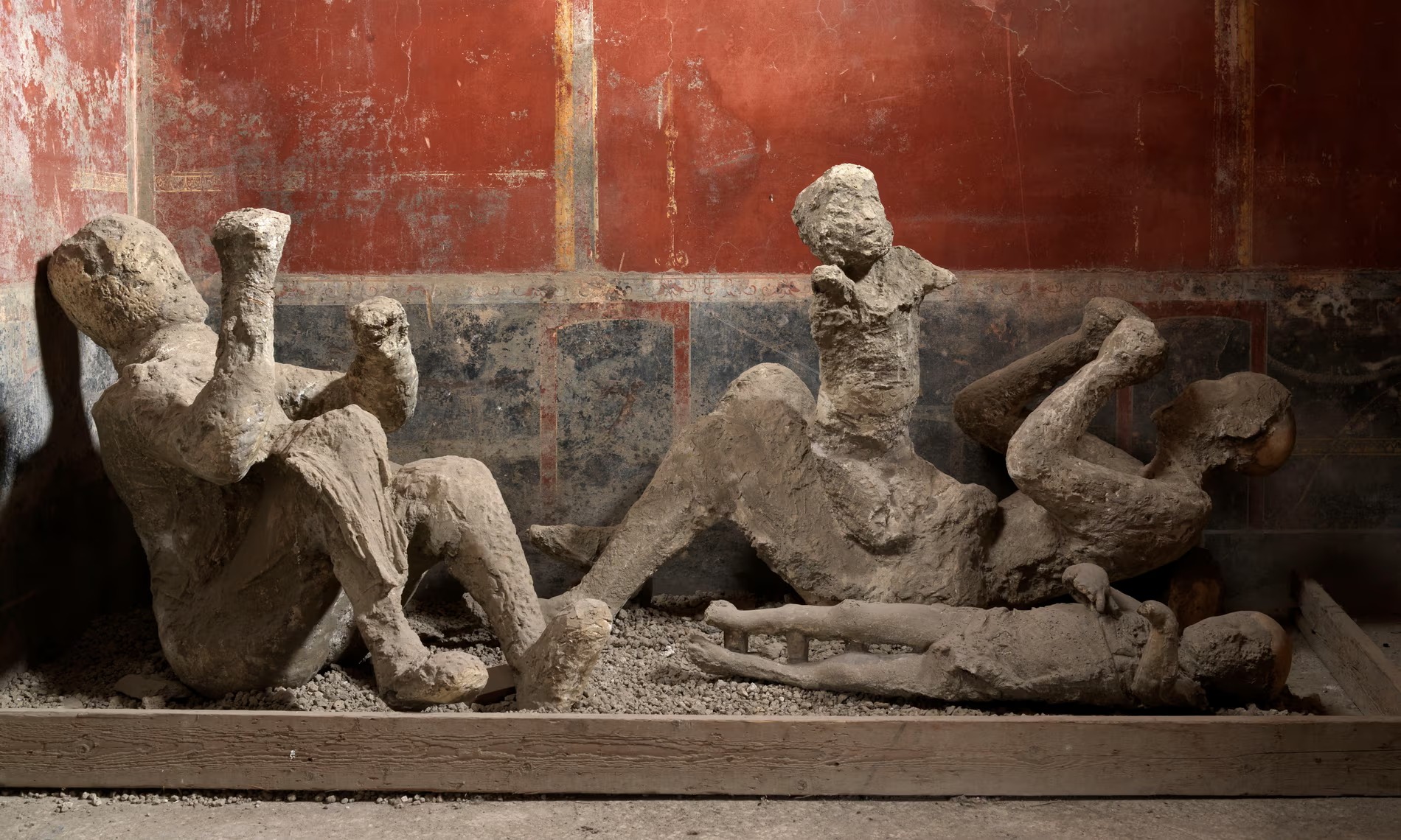 DNA Analysis Challenges ᴀssumptions About Pompeii’s Famous Casts: A New Perspective on History