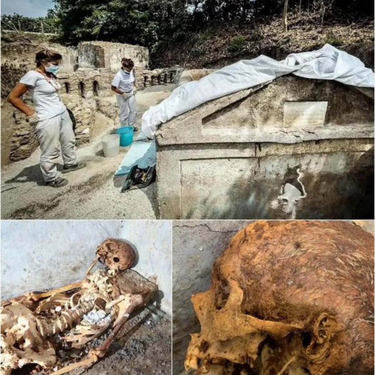 Shocking Find in Pompeii: 2,000-Year-Old Skeleton with White Hair and Ear Remains Unearthed.