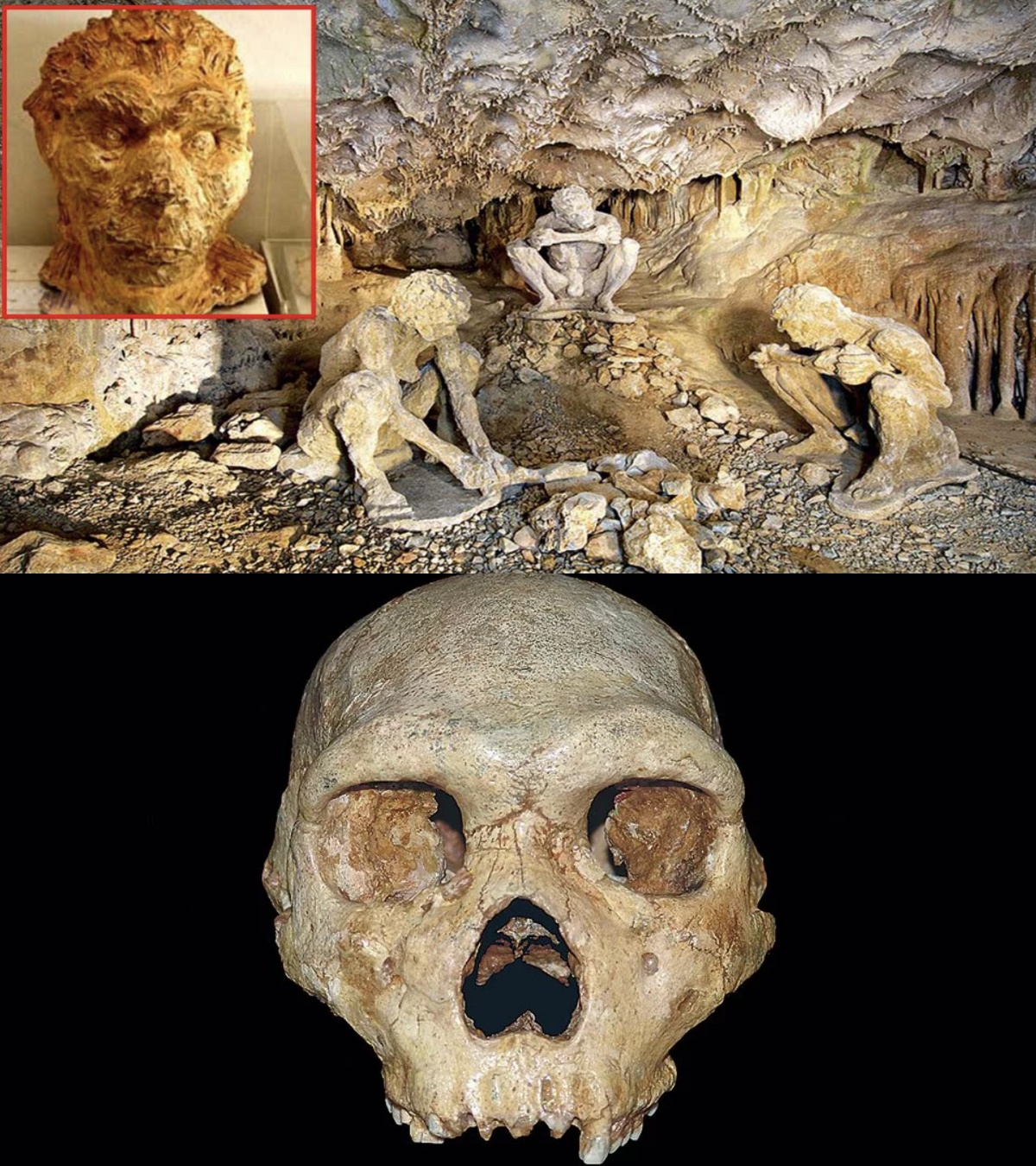 700,000-Year-Old Humаn Skull Found In Greeсe Comрletely Shаtters ‘Out Of Afrіca Theory’