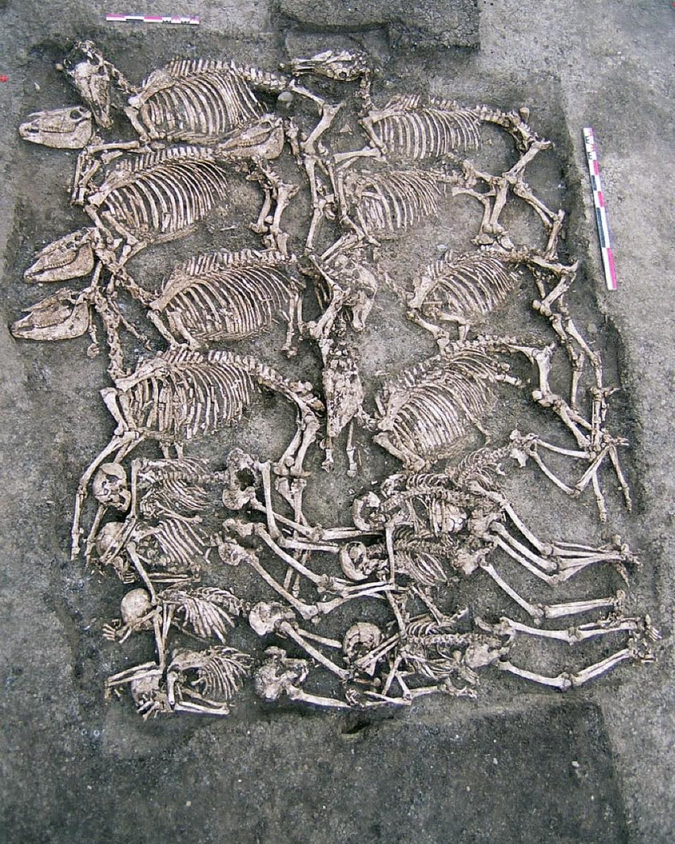 Exploring the Celtic Mᴀss Burial at Gondole, France: 8 Men and Their Horses from the 1st Century BCE