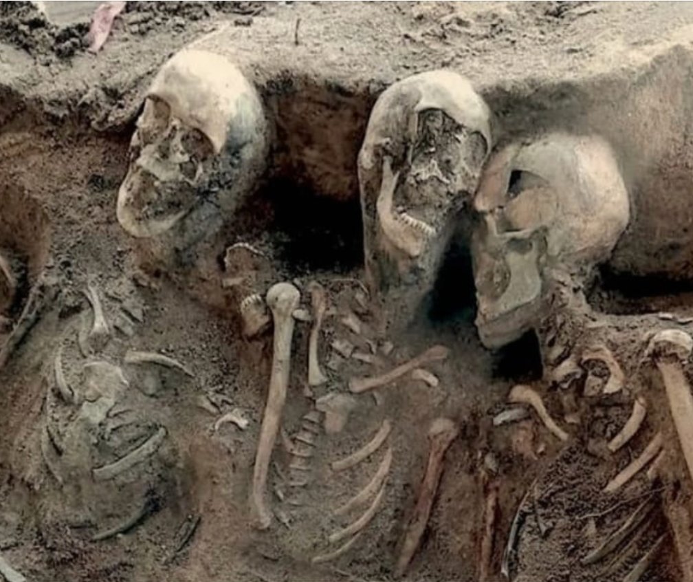 The Chilling Discovery of 17th Century Plague Pits in Nuremberg