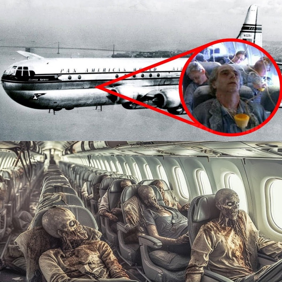 The Mystery of the Flight That Reappeared After 35 Years, Carrying 92 Skeletons Onboard