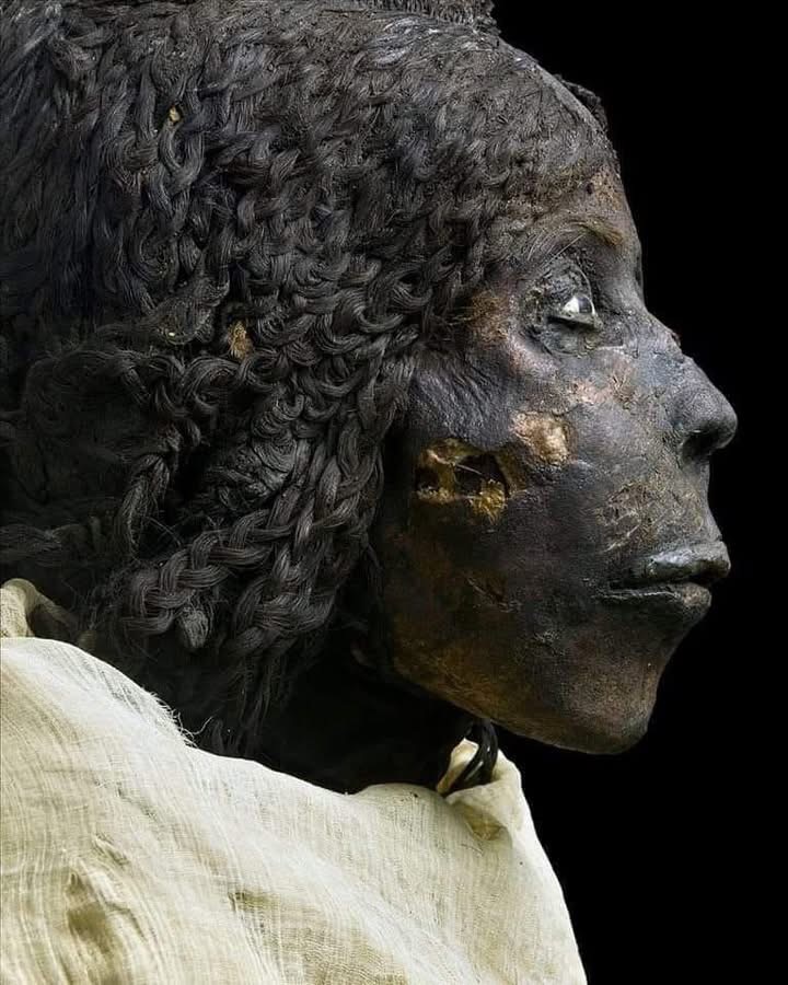 The Mummy of Queen Nodjmet: A Remarkable Preservation from Ancient Egypt’s Third Intermediate Period