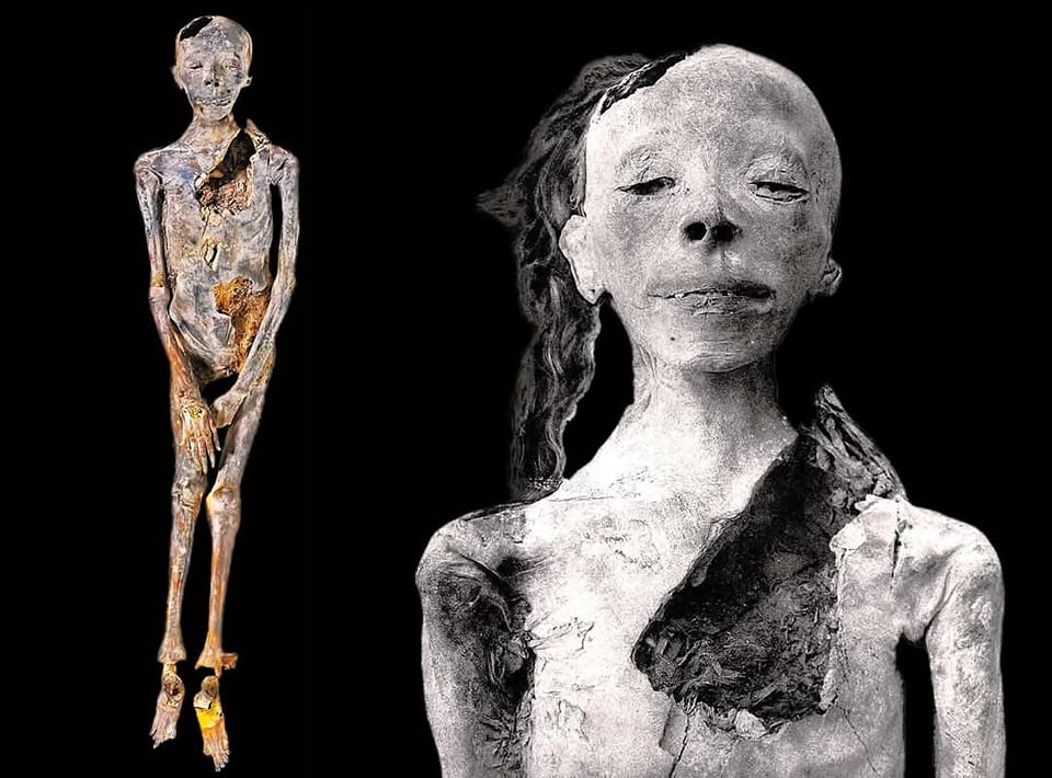 The Mummy of a Prince: Mystery and Idenтιтy of the Adolescent Boy from KV35