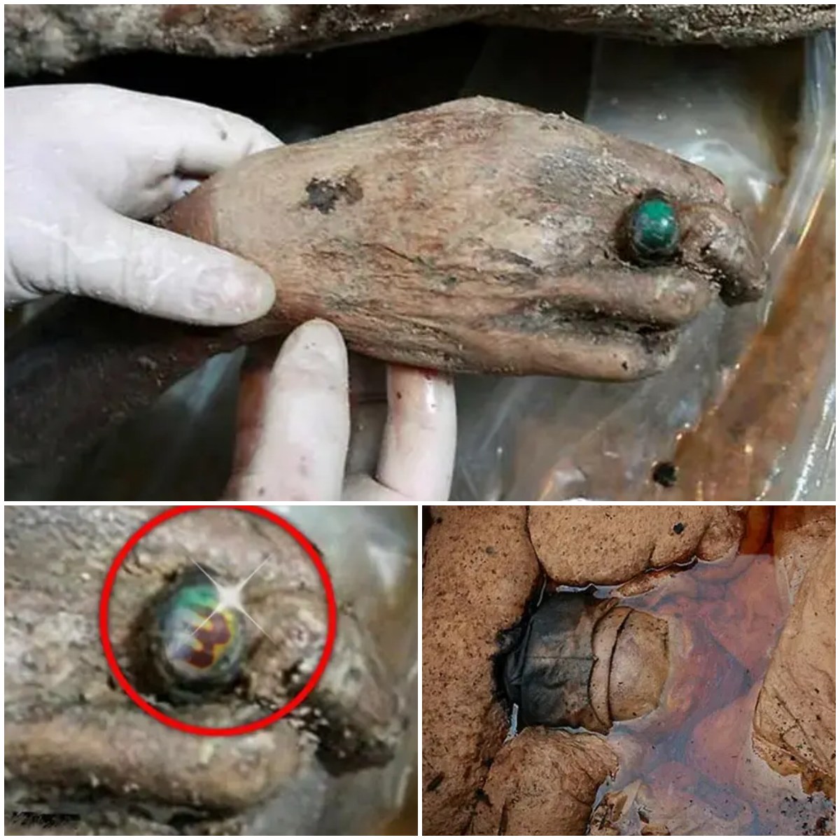 Revealing the Secrets of a 700-Year-Old Perfectly Preserved Chinese Mummy: A Fascinating Discovery