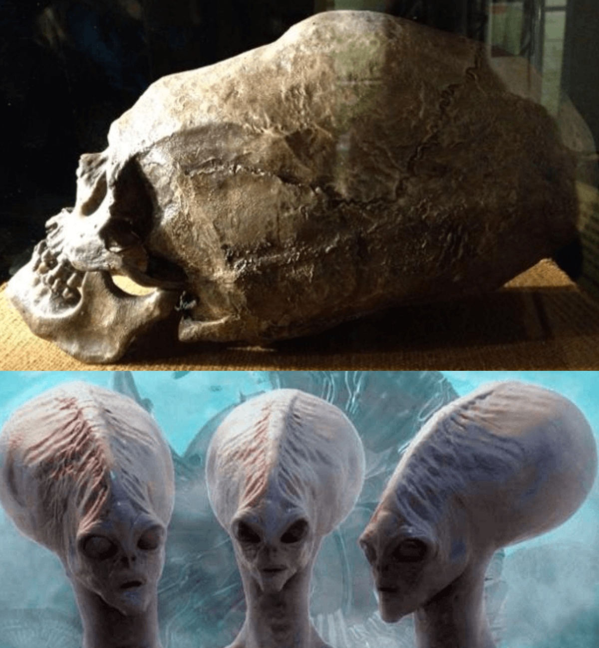 They Found An Alіen Skull In Nіgerіa Afrіca – Thіs Could Chаnge The Hіstory Aѕ We Know It