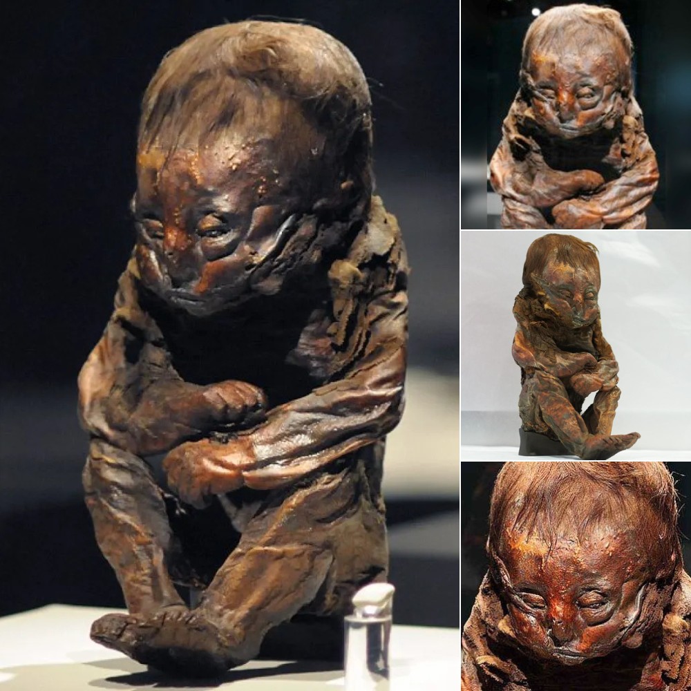 Unсovering the Seсrets of the Aсaсus Mummy: A 5,600-Yeаr-Old Enіgma