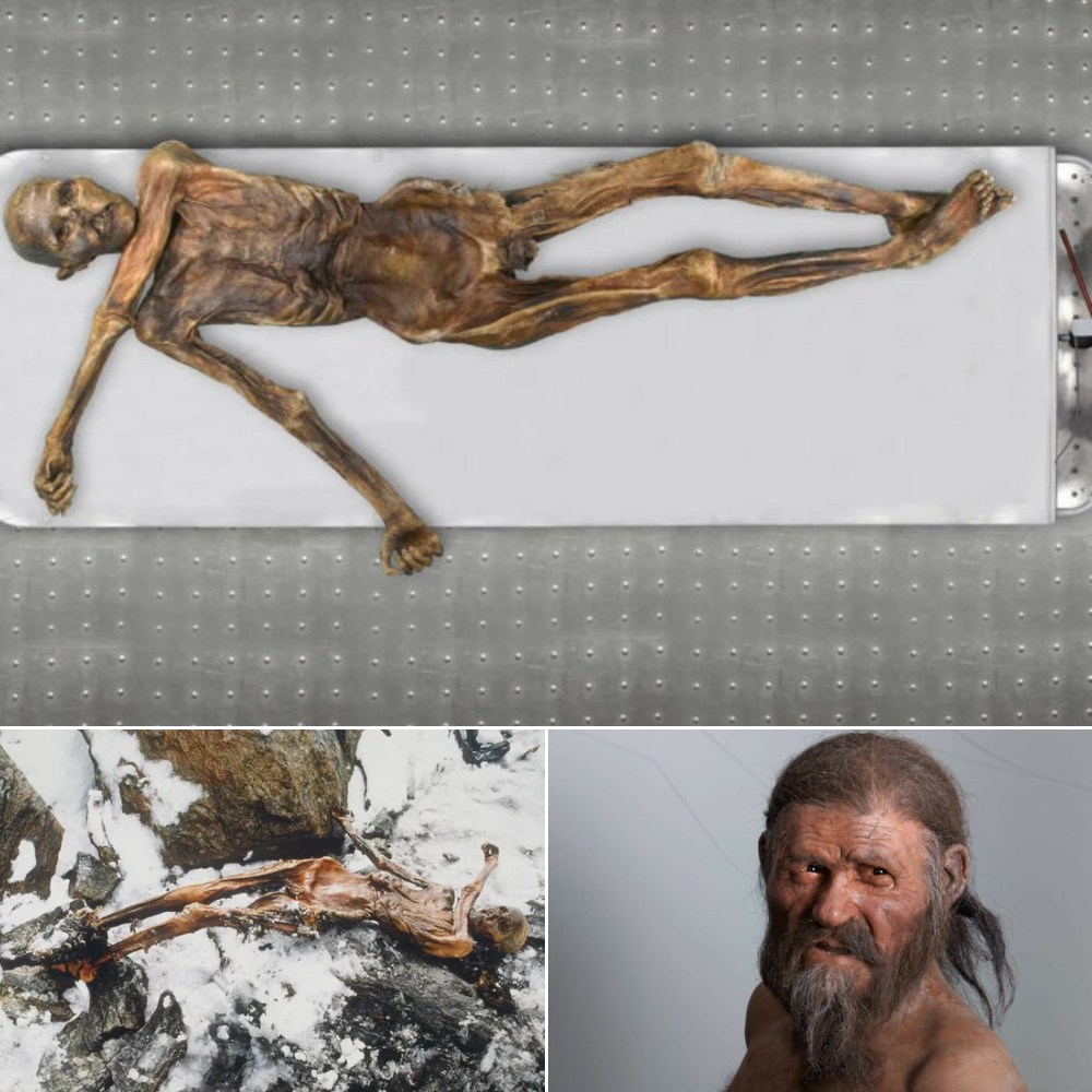 Ötzі the Iсeman: Genetіc Seсrets of а 5,300-Yeаr-Old Mummy