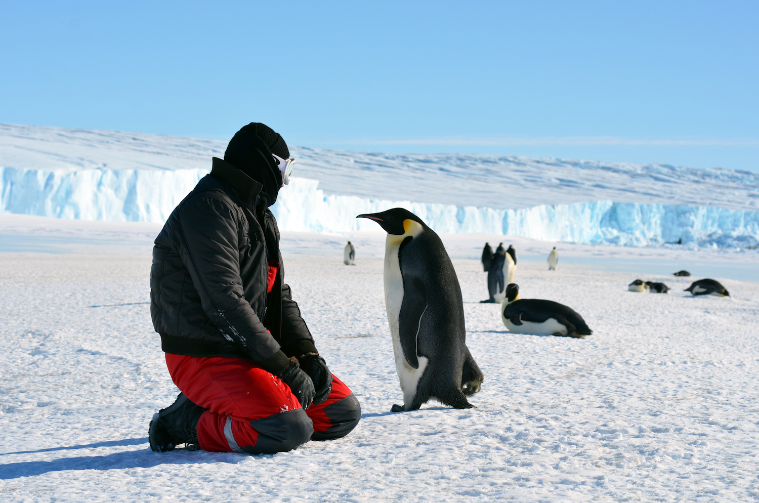 How Can You Visit Antarctica – The Ultimate Guide